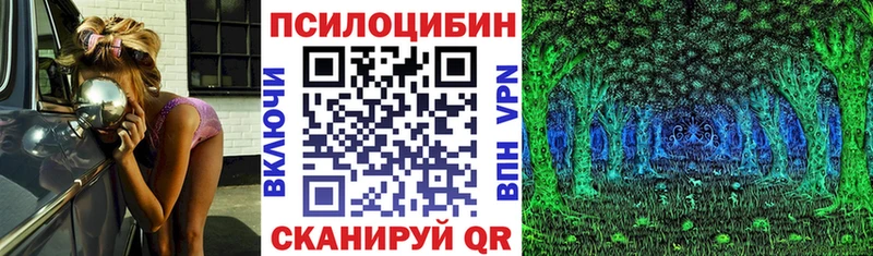 закладка Трубчевск Псилоцибиновые грибы Magic Shrooms